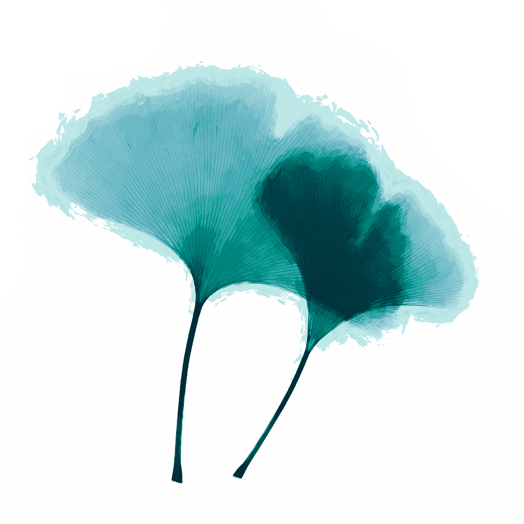 logo du cabinet de psychologie et neuropsychologie de montreal