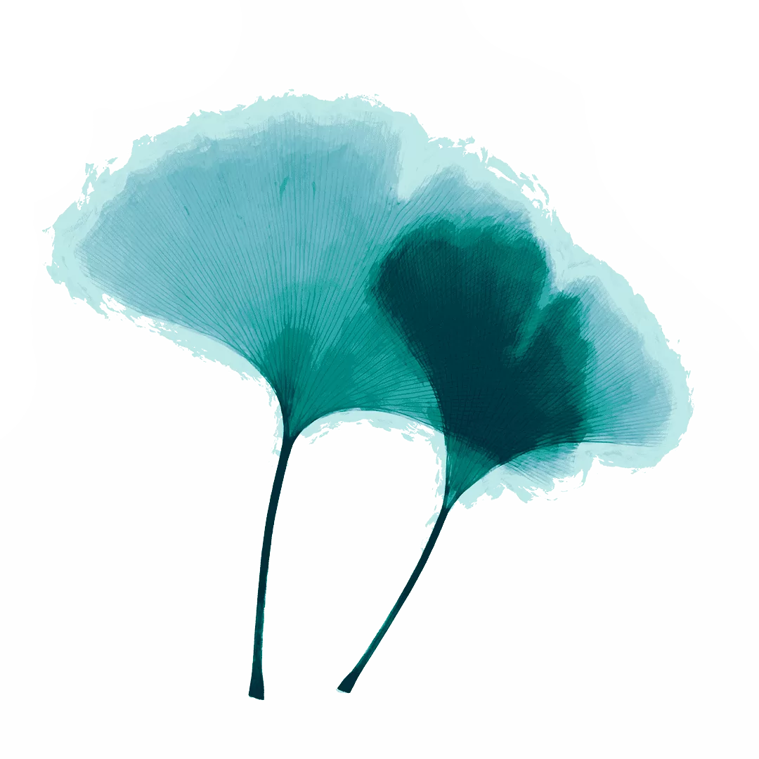 logo du cabinet de psychologie et neuropsychologie de montreal