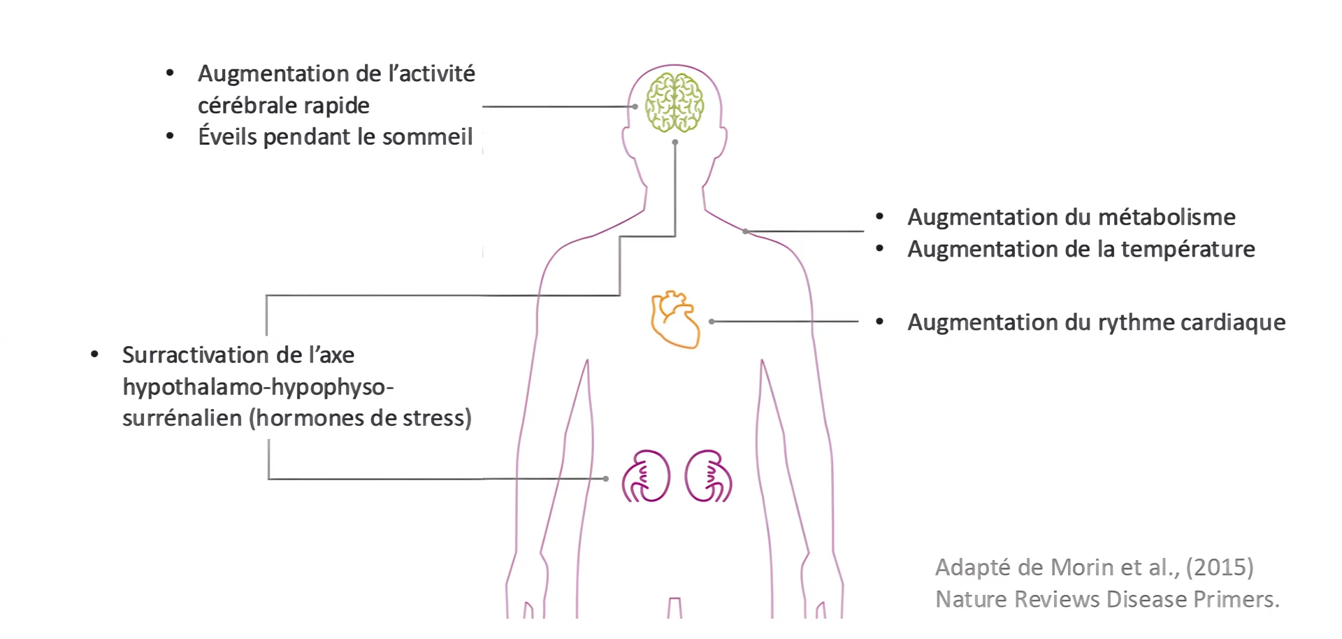 Insomnie-Trouble du sommeil cabinet de psychologie et neuropsychologie de montreal